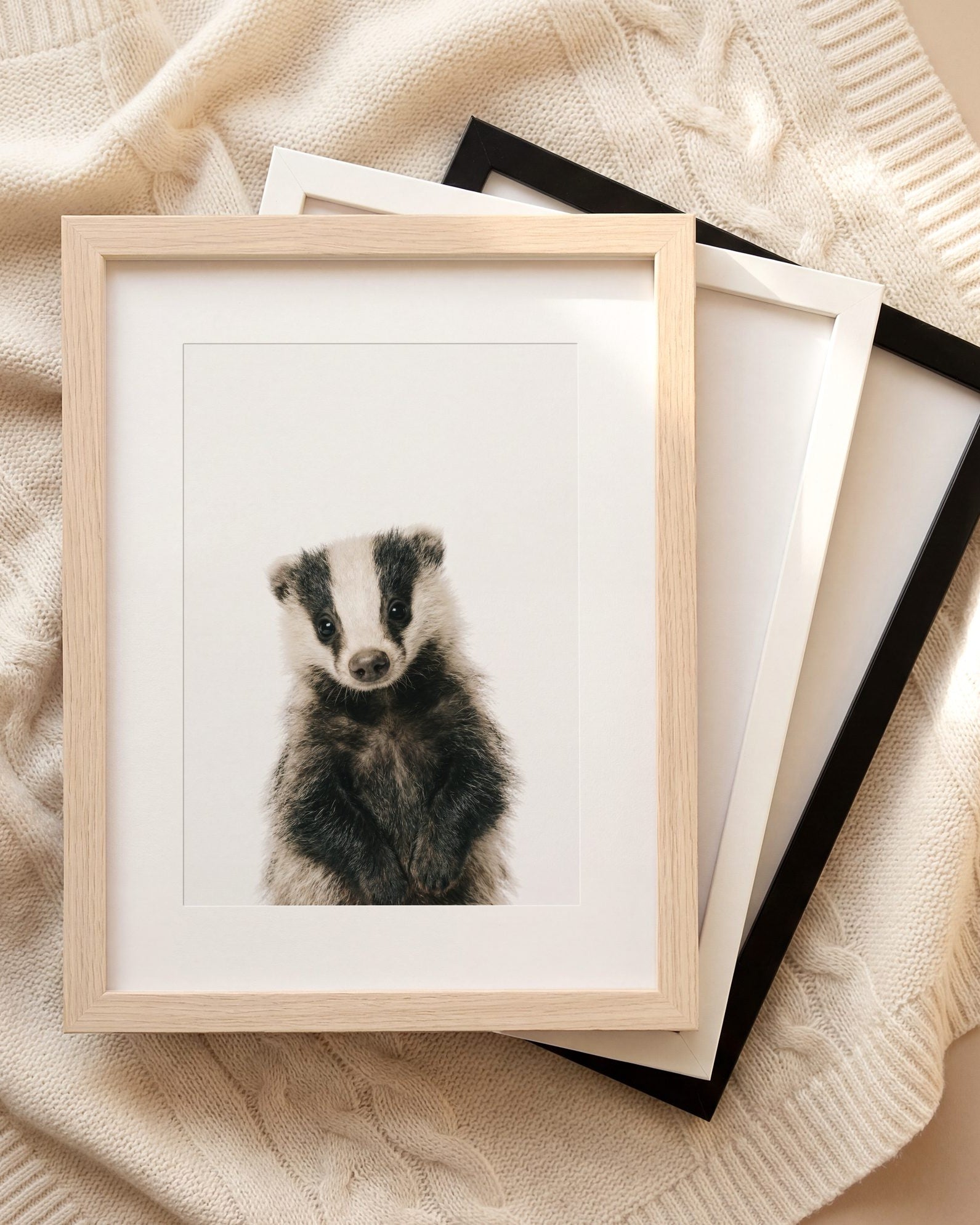 The Baby Animals 2026 Collection