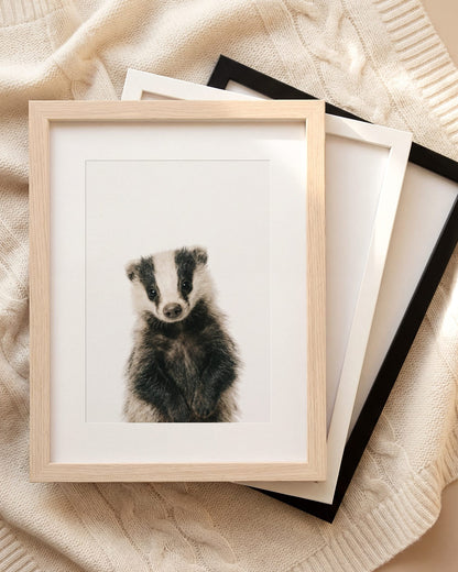 The Baby Animals 2026 Collection