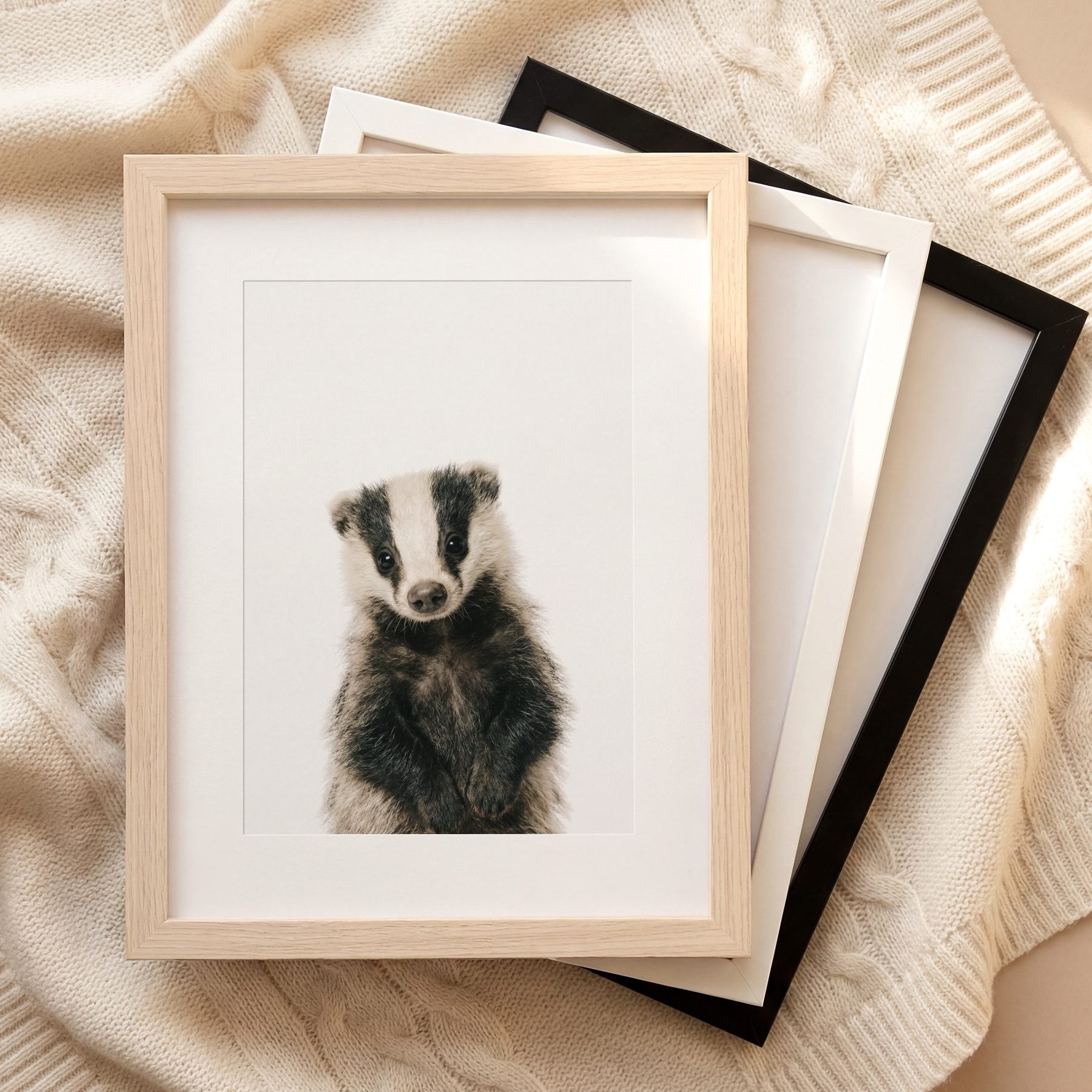 The Baby Animals 2026 Collection