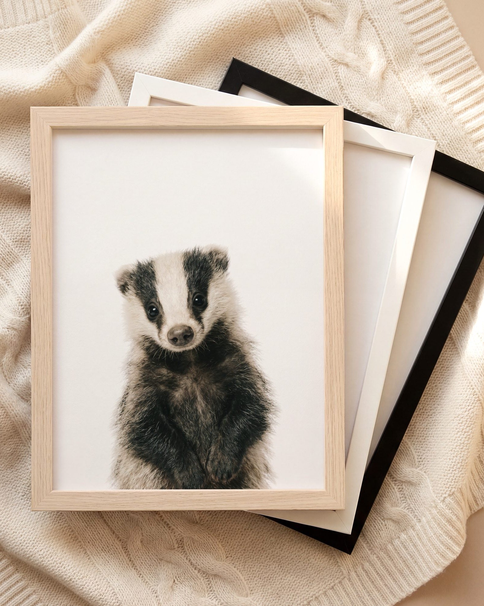 The Baby Animals 2026 Collection