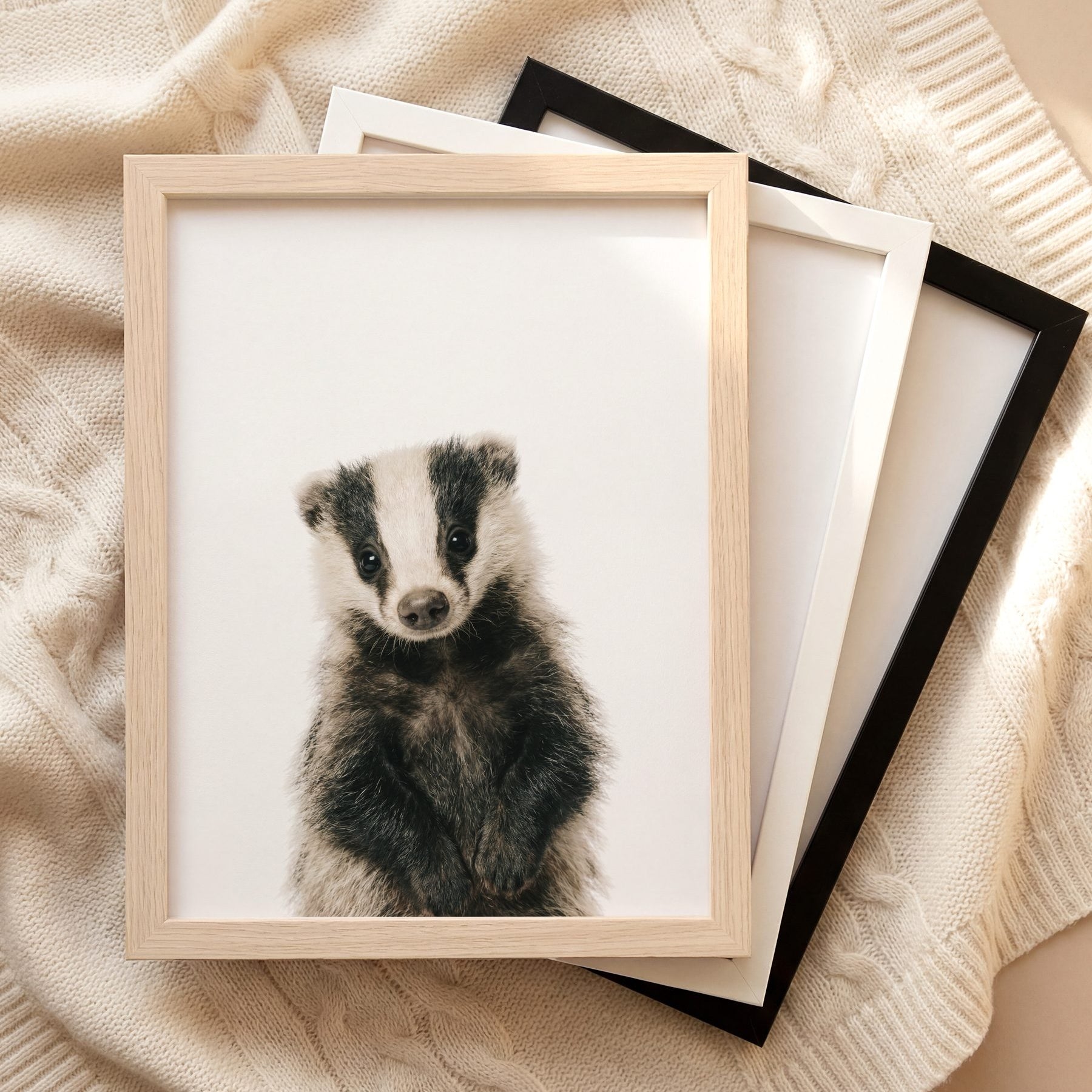 The Baby Animals 2026 Collection