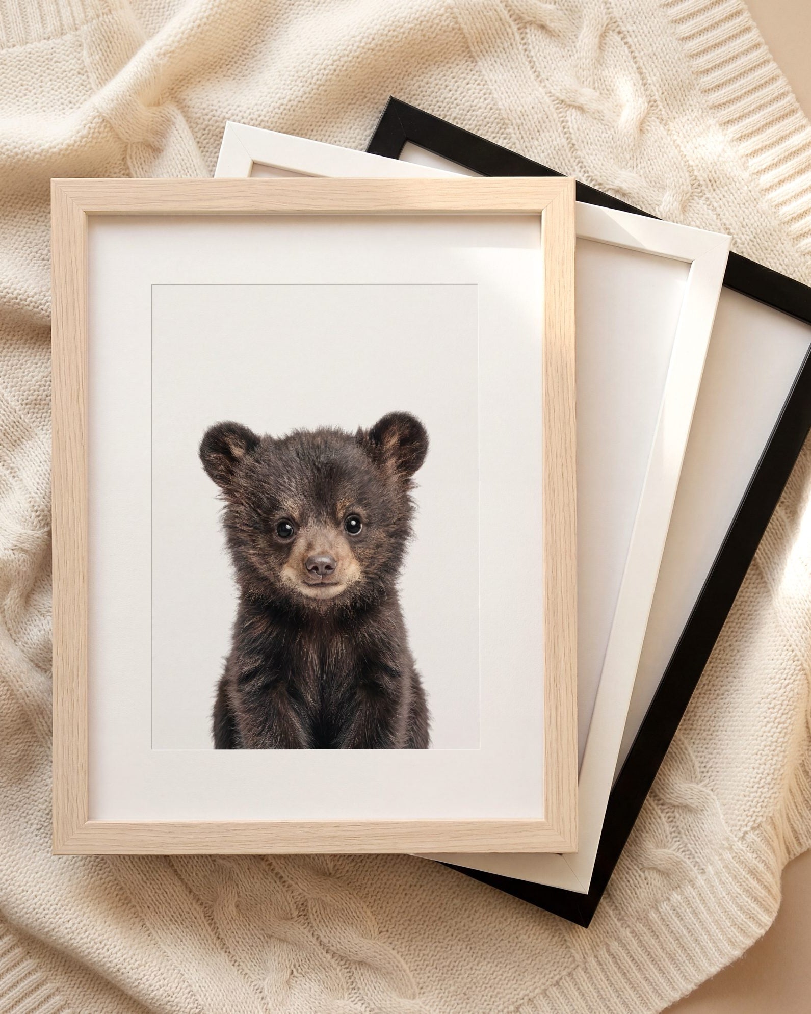 The Baby Animals 2026 Collection
