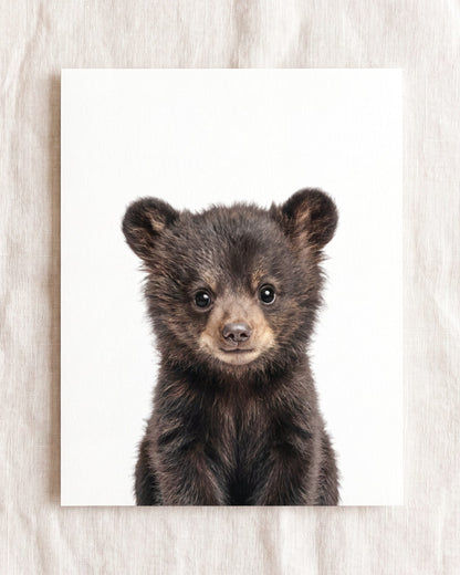 The Baby Animals 2026 Collection