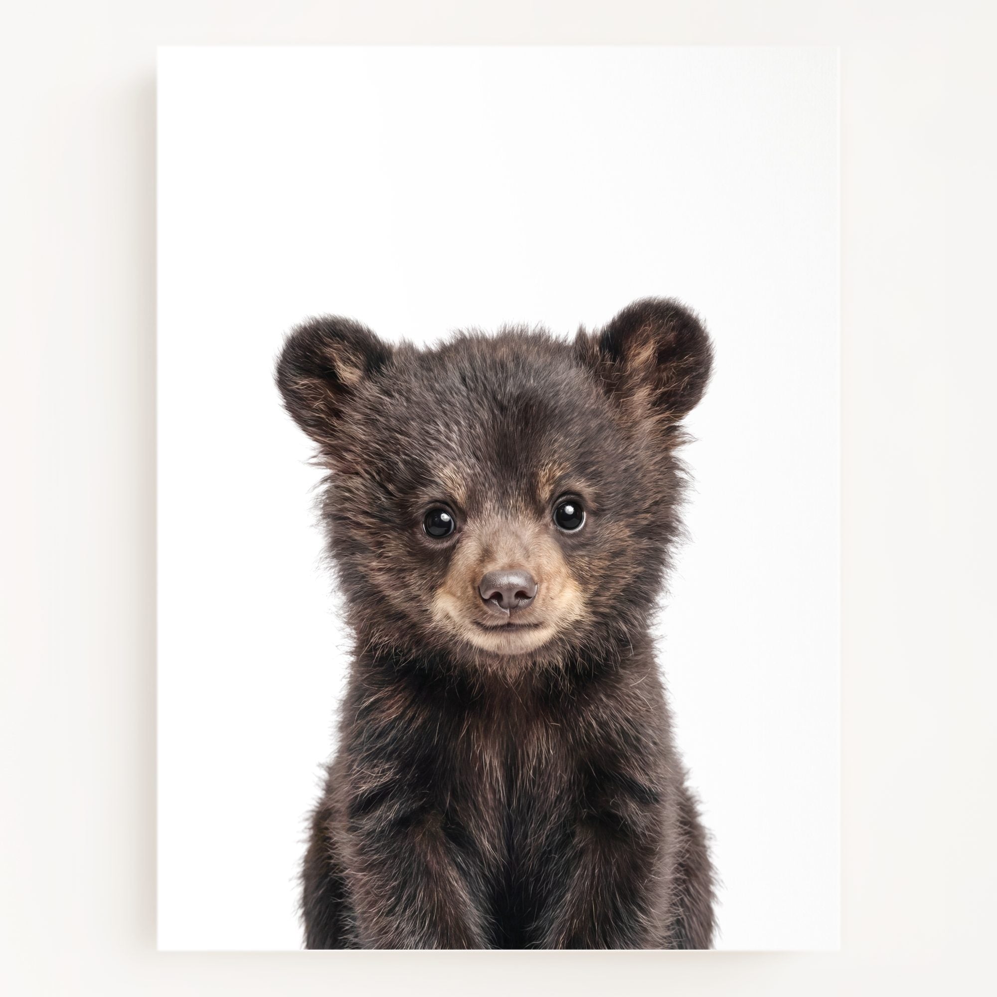 The Baby Animals 2026 Collection