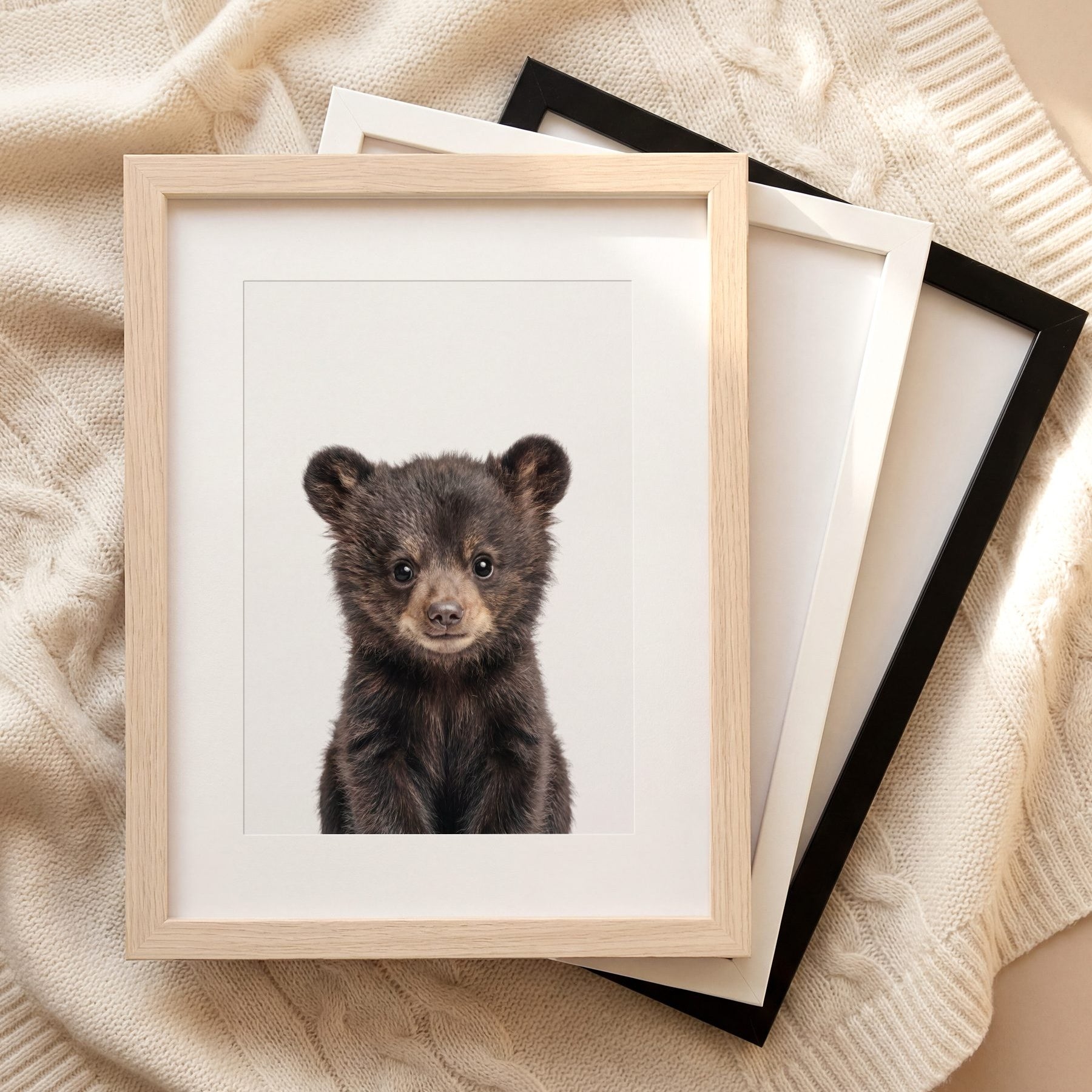 The Baby Animals 2026 Collection