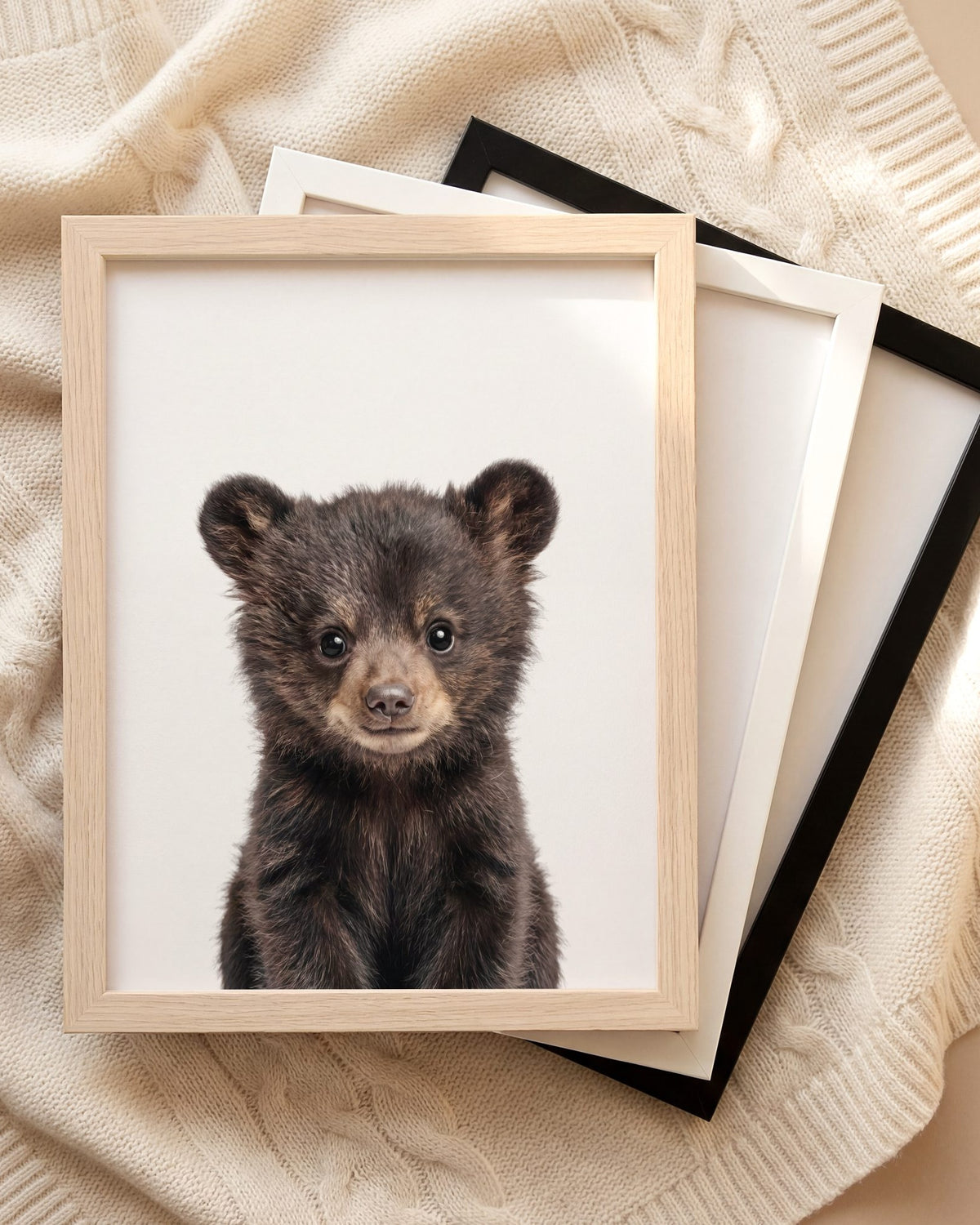 The Baby Animals 2026 Collection