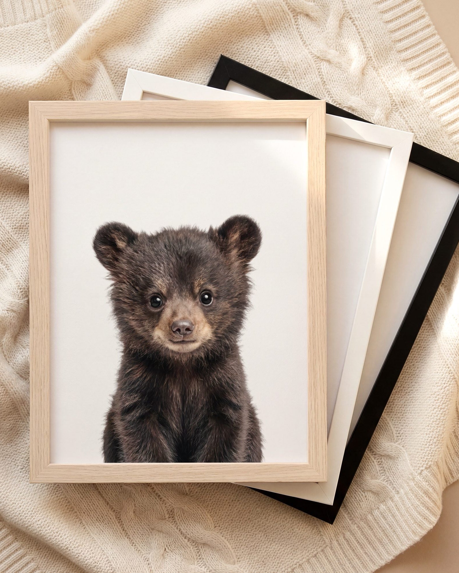 The Baby Animals 2026 Collection