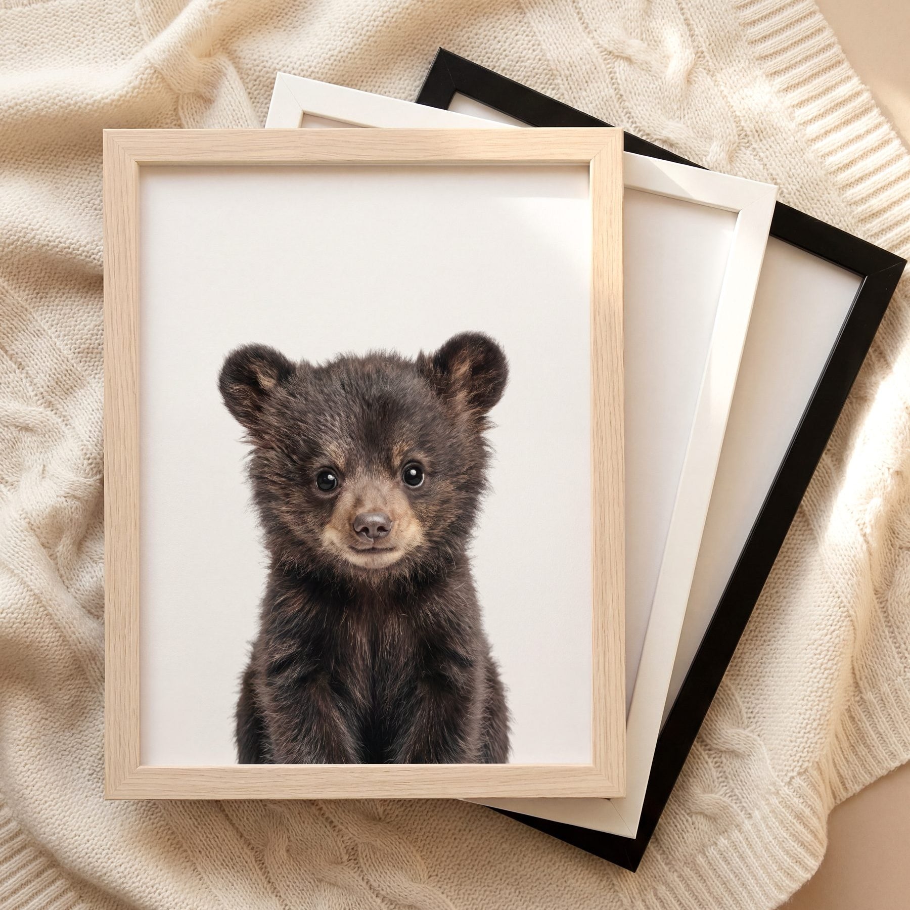 The Baby Animals 2026 Collection