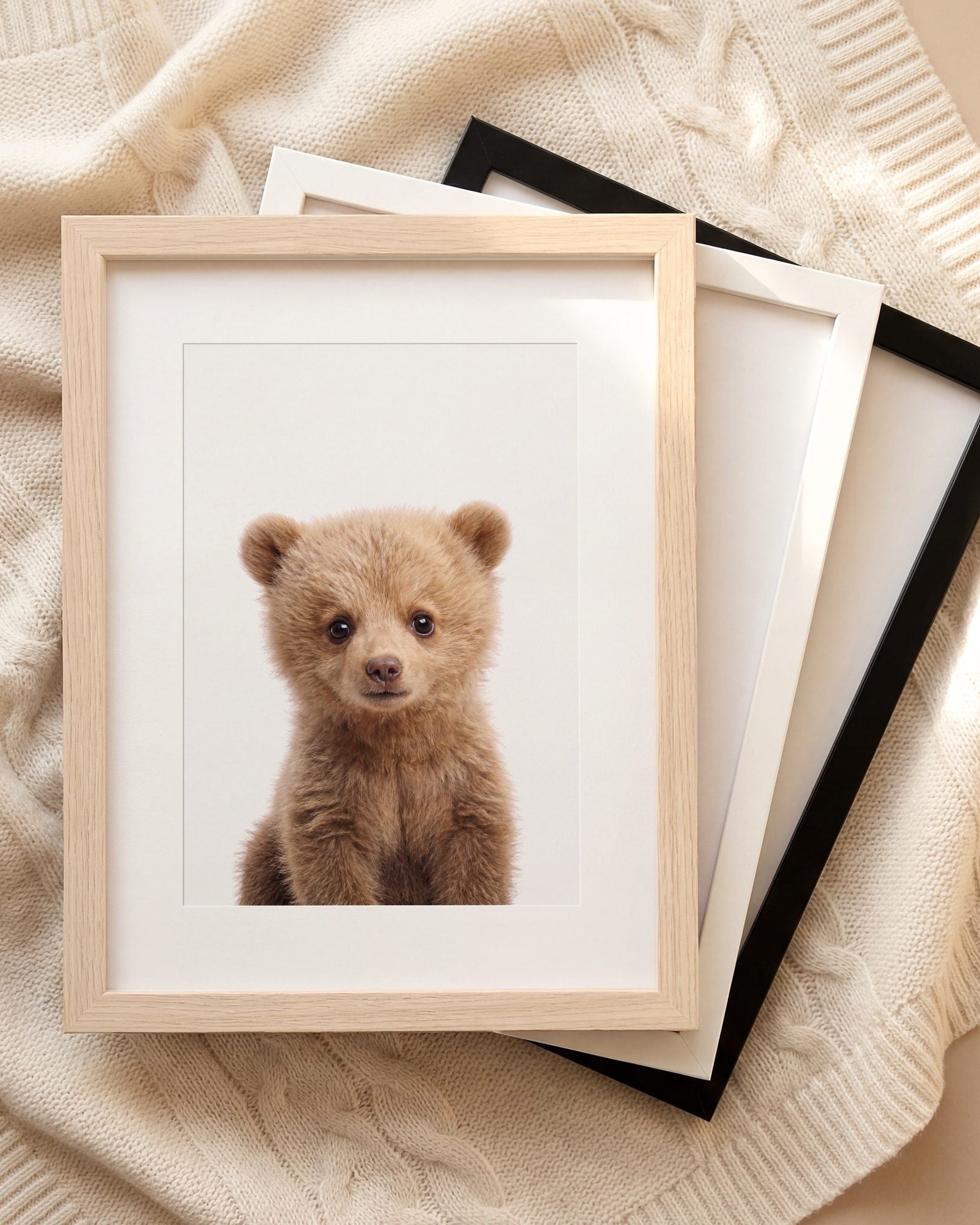 The Baby Animals 2026 Collection