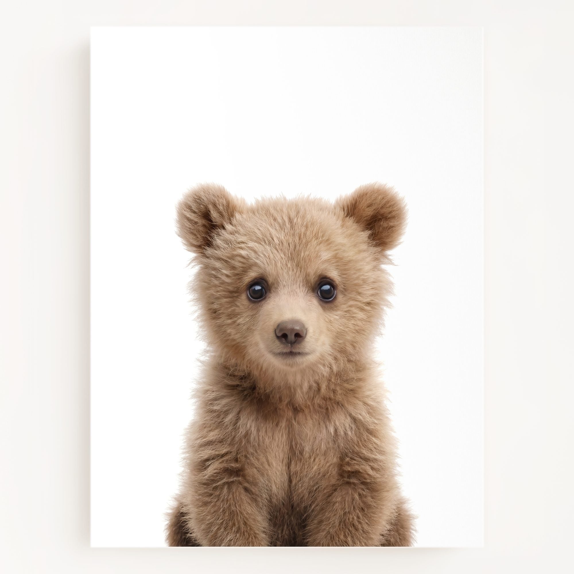 The Baby Animals 2026 Collection