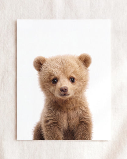 The Baby Animals 2026 Collection