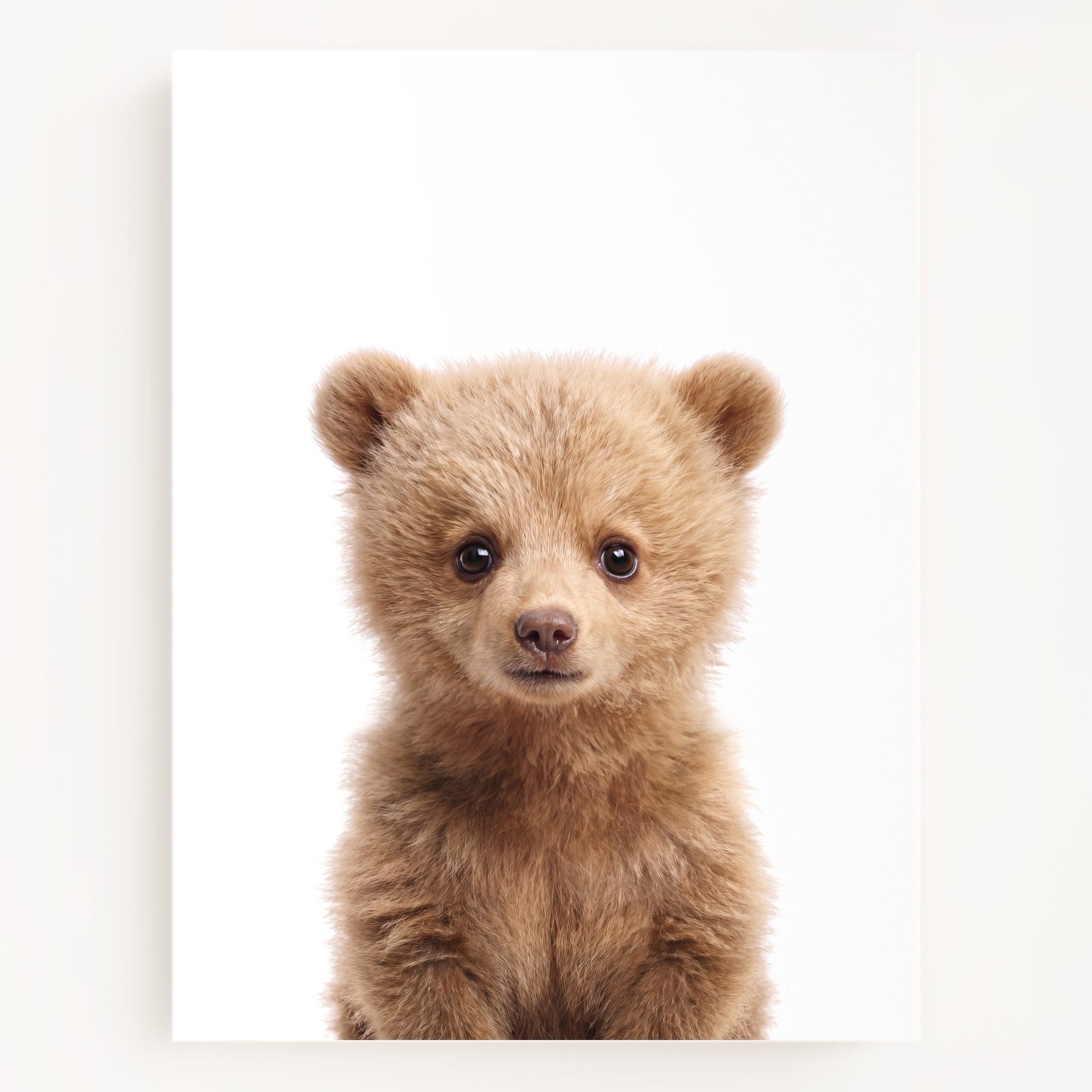 The Baby Animals 2026 Collection