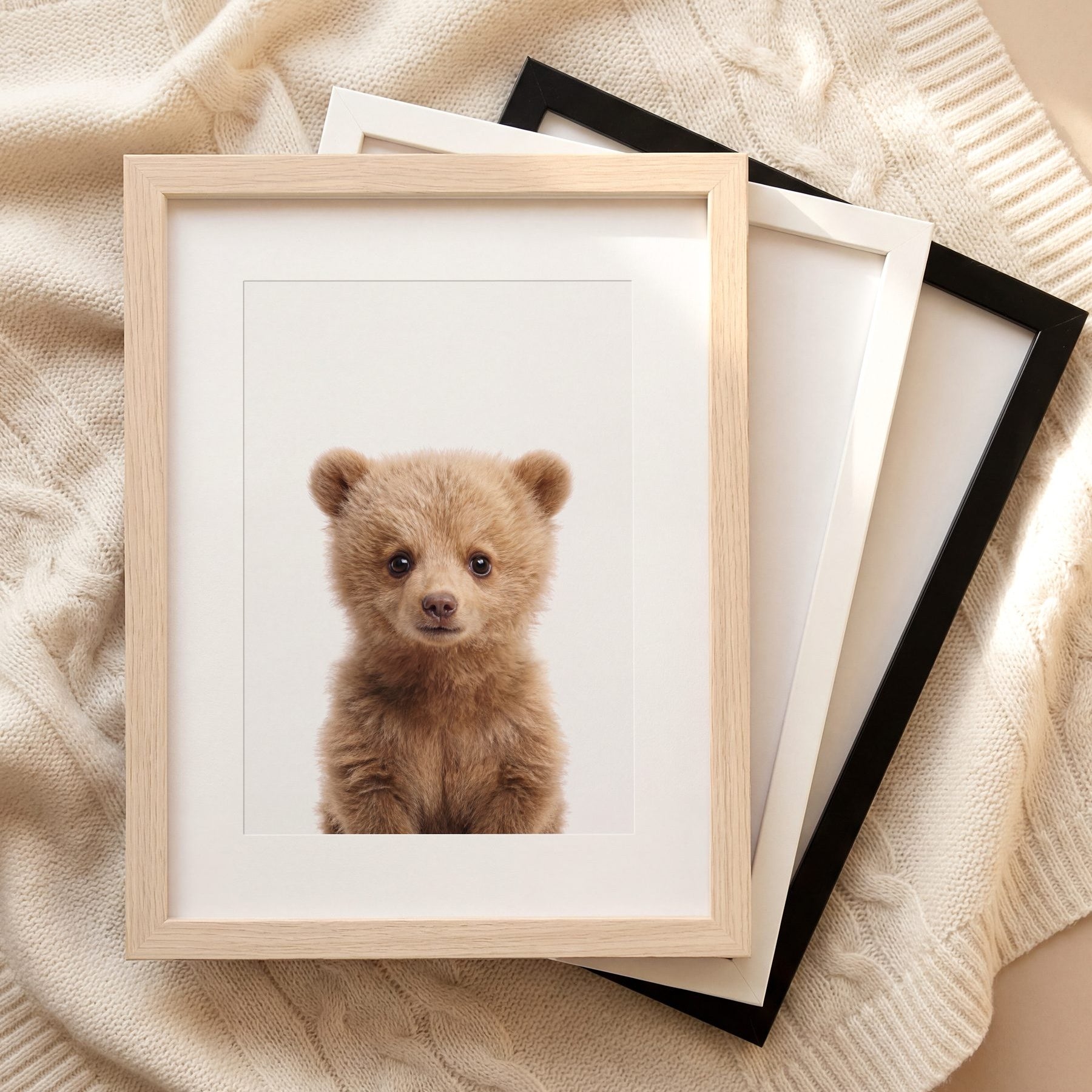 The Baby Animals 2026 Collection