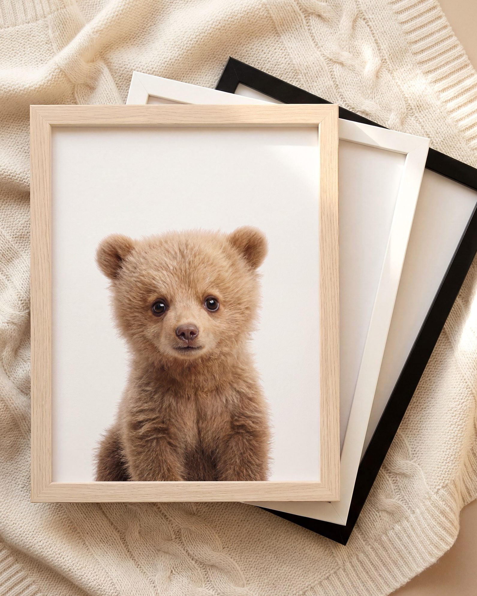 The Baby Animals 2026 Collection