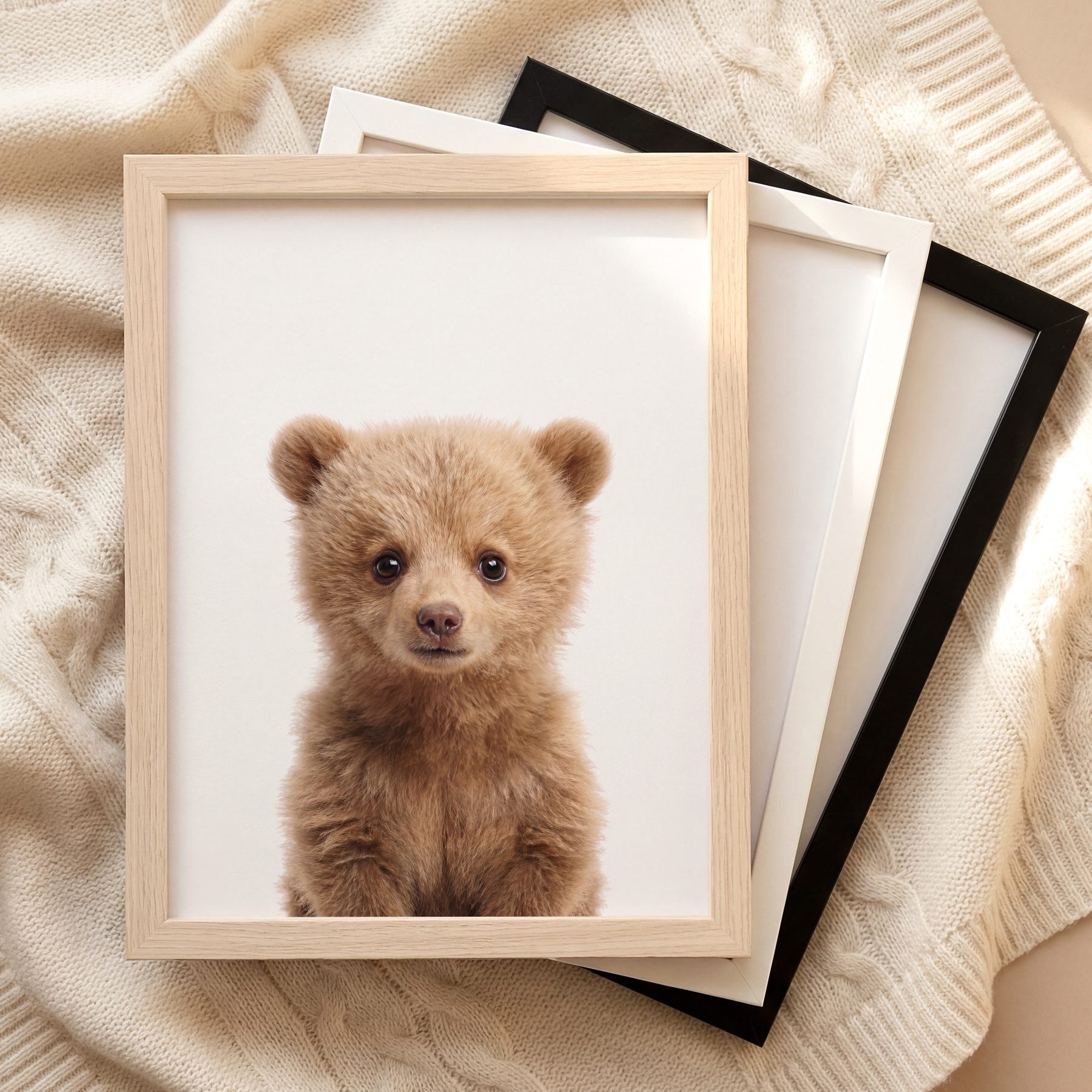 The Baby Animals 2026 Collection