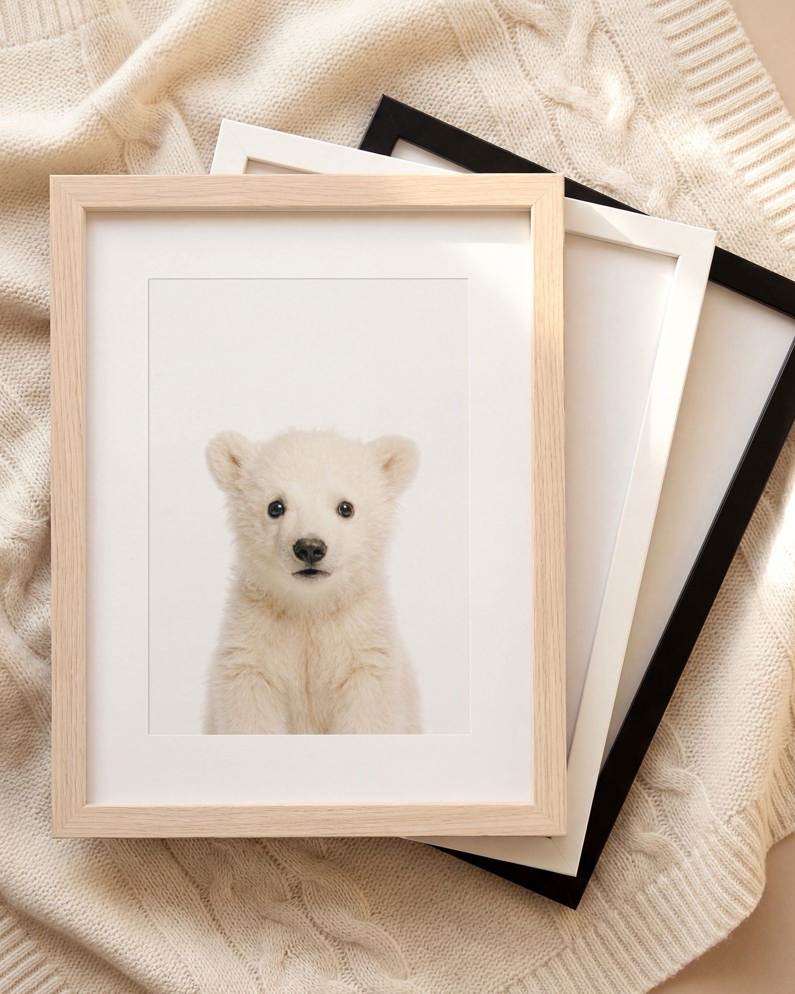 The Baby Animals 2026 Collection