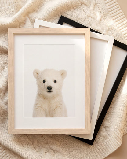 The Baby Animals 2026 Collection