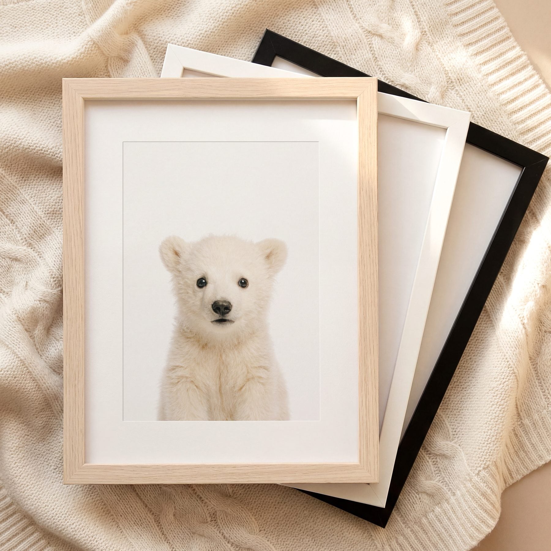 The Baby Animals 2026 Collection
