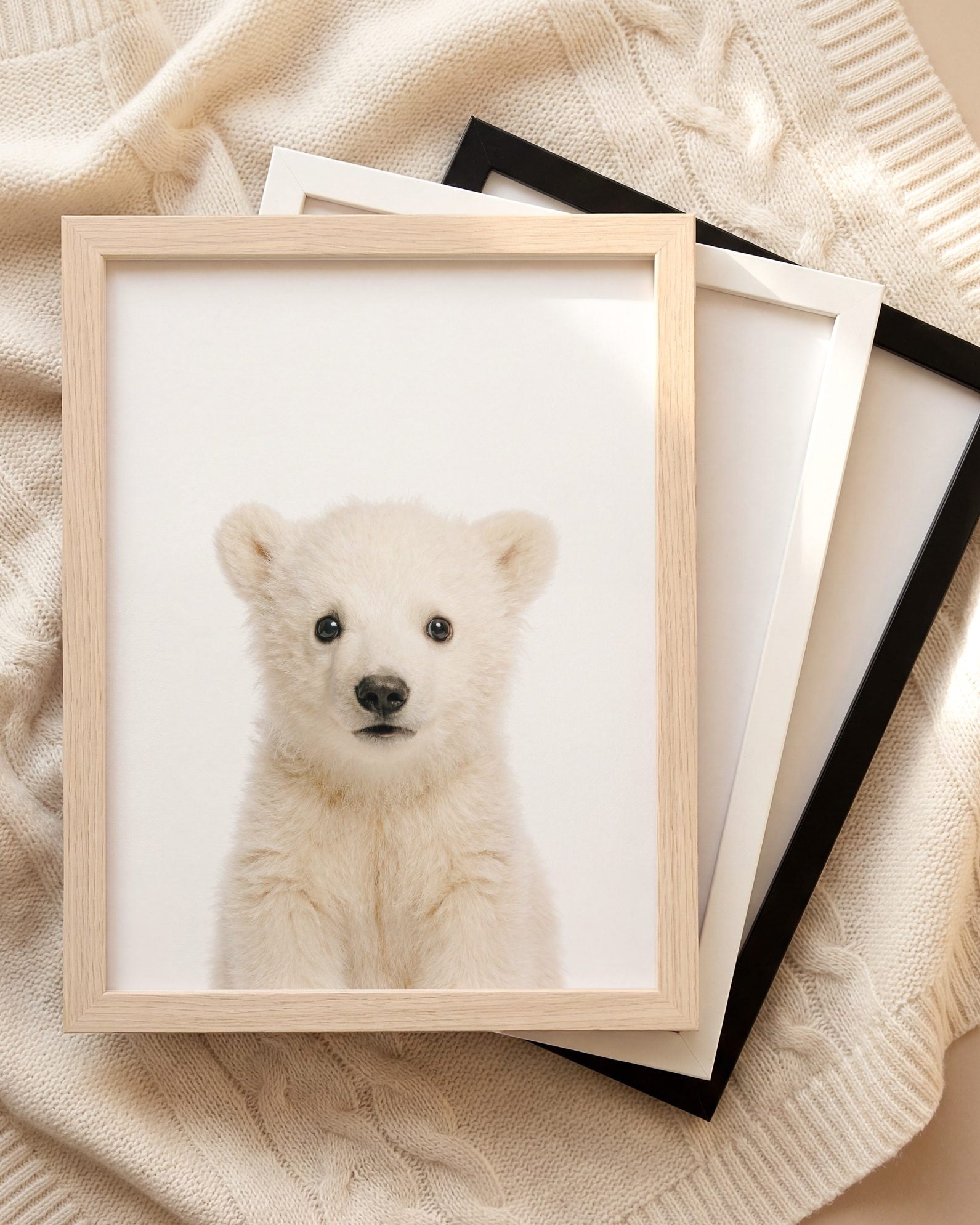 The Baby Animals 2026 Collection