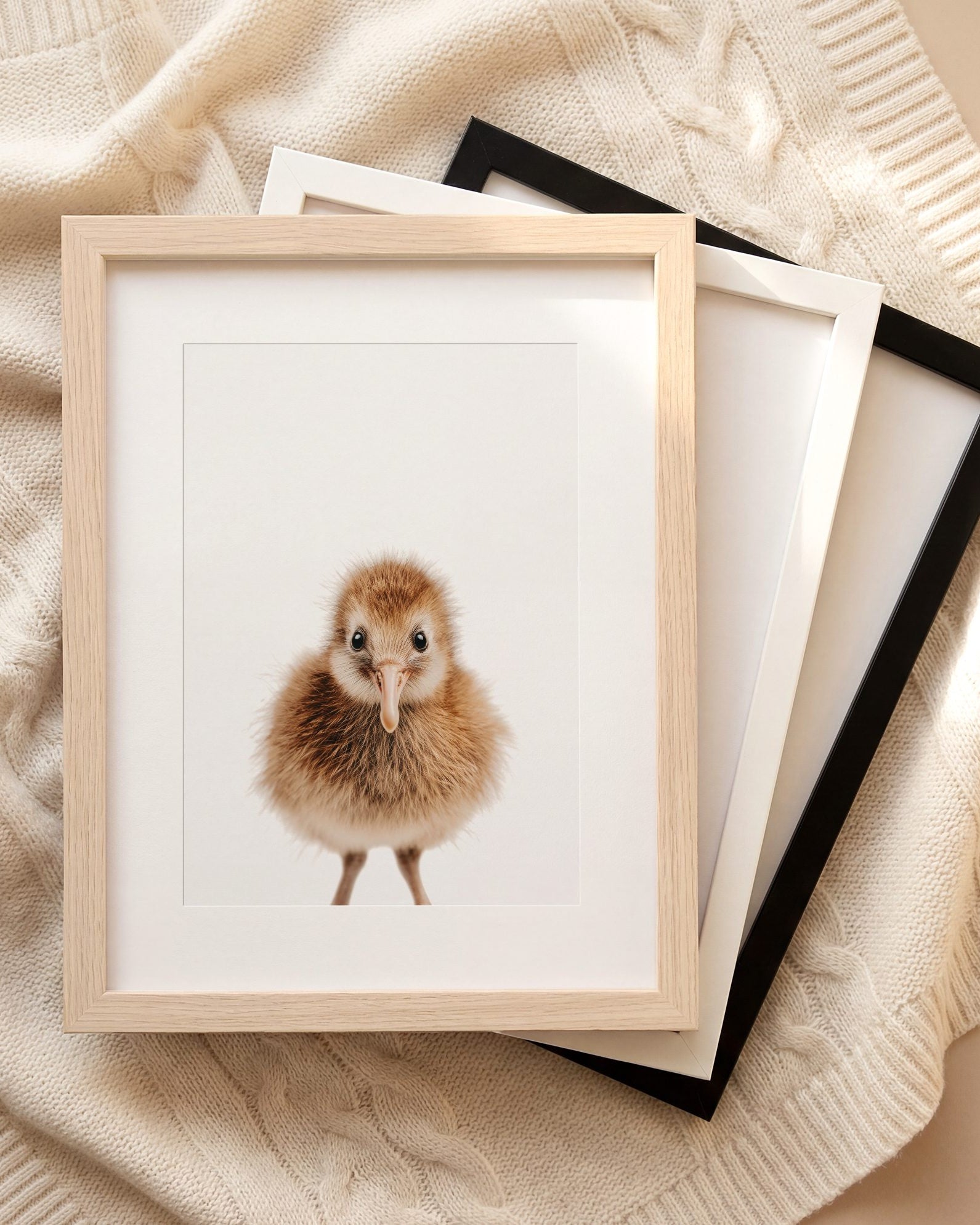 The Baby Animals 2026 Collection