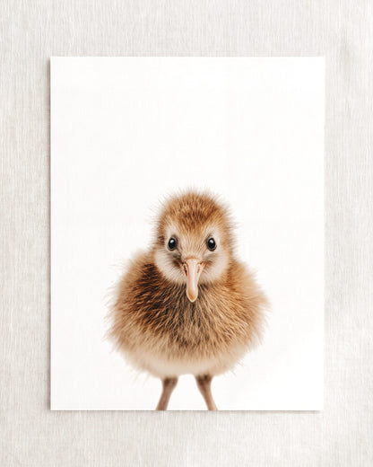 The Baby Animals 2026 Collection