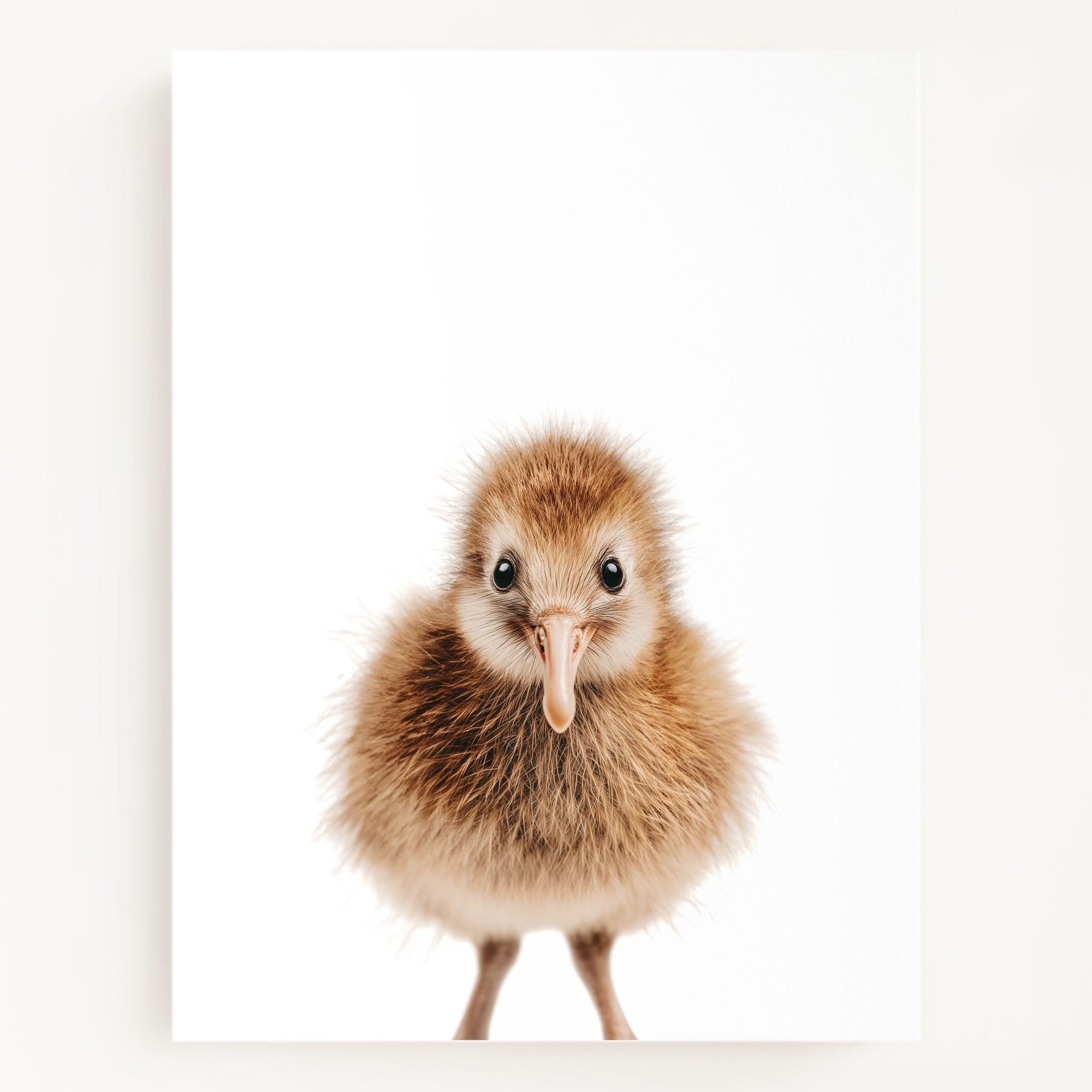 The Baby Animals 2026 Collection