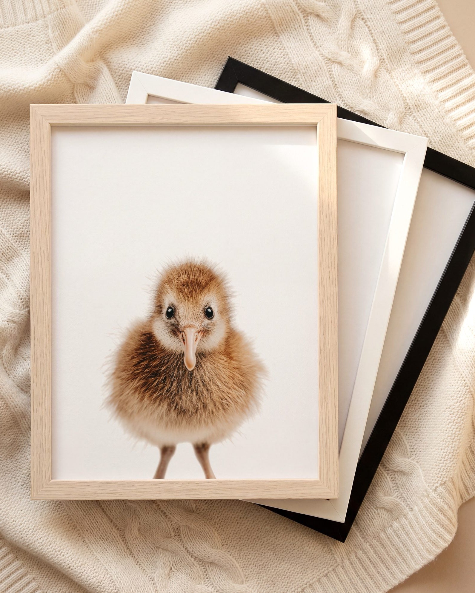 The Baby Animals 2026 Collection