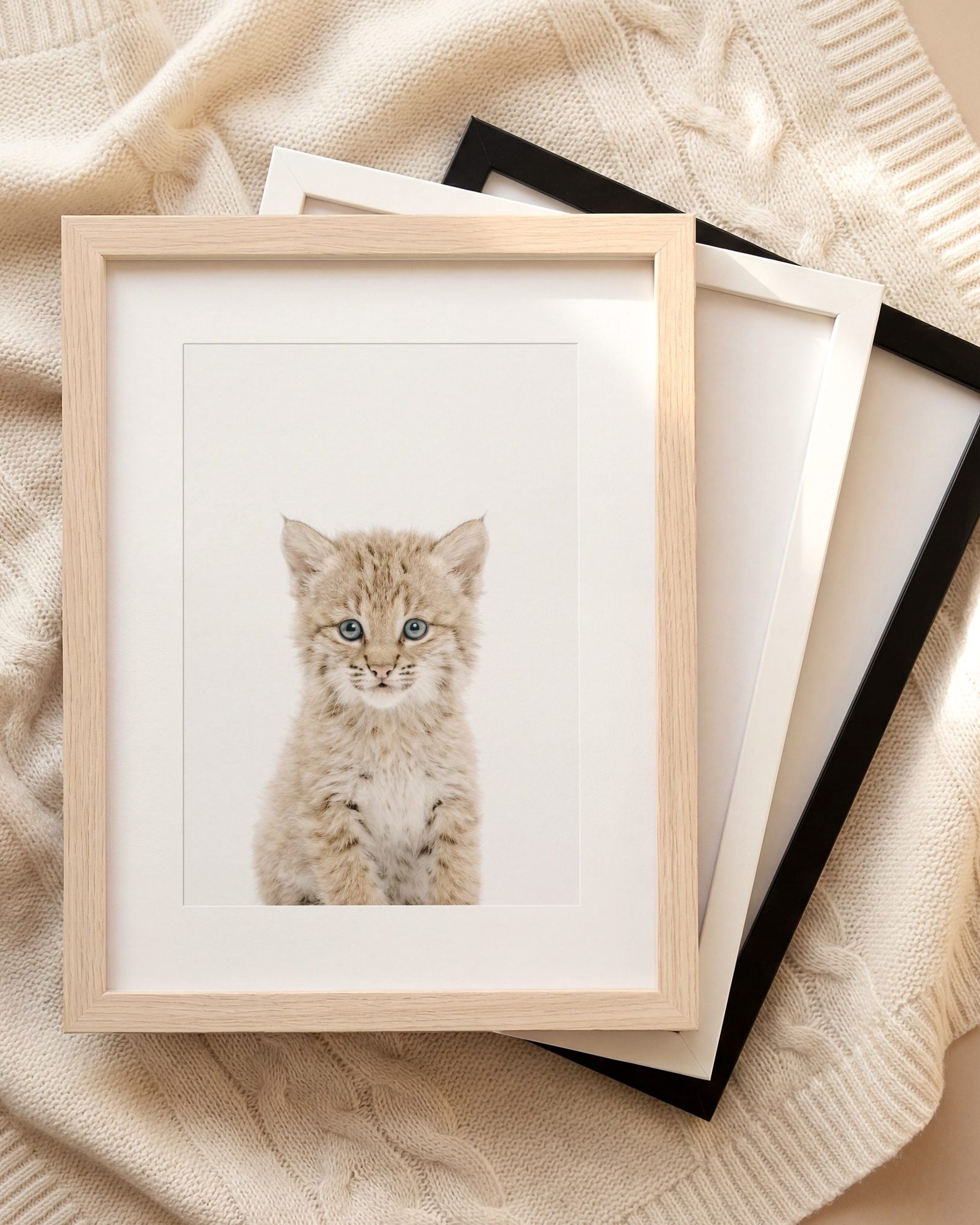 The Baby Animals 2026 Collection
