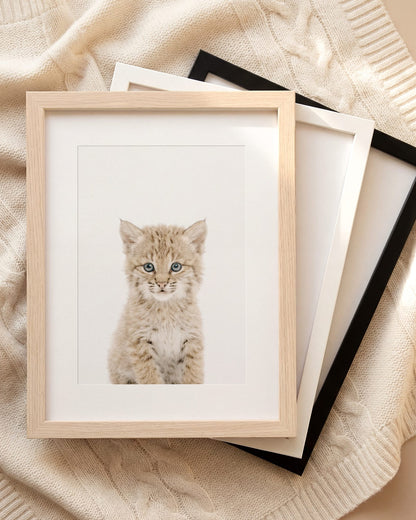 The Baby Animals 2026 Collection
