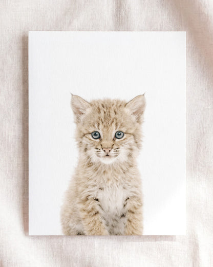 The Baby Animals 2026 Collection
