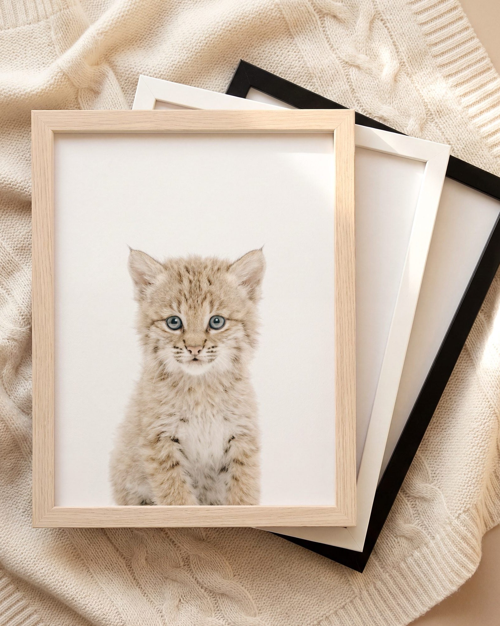 The Baby Animals 2026 Collection
