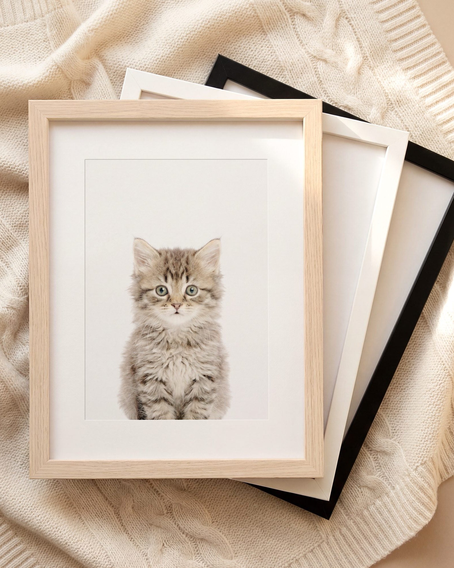 The Baby Animals 2026 Collection