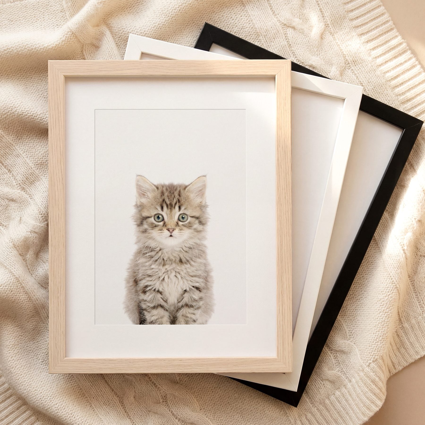 The Baby Animals 2026 Collection