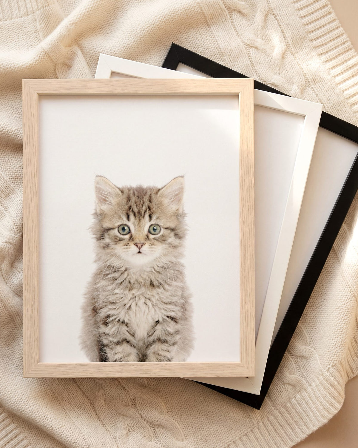 The Baby Animals 2026 Collection
