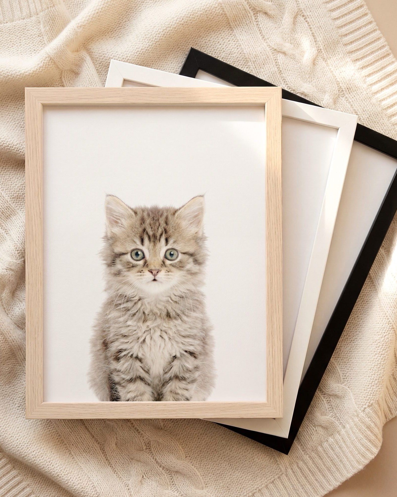 The Baby Animals 2026 Collection