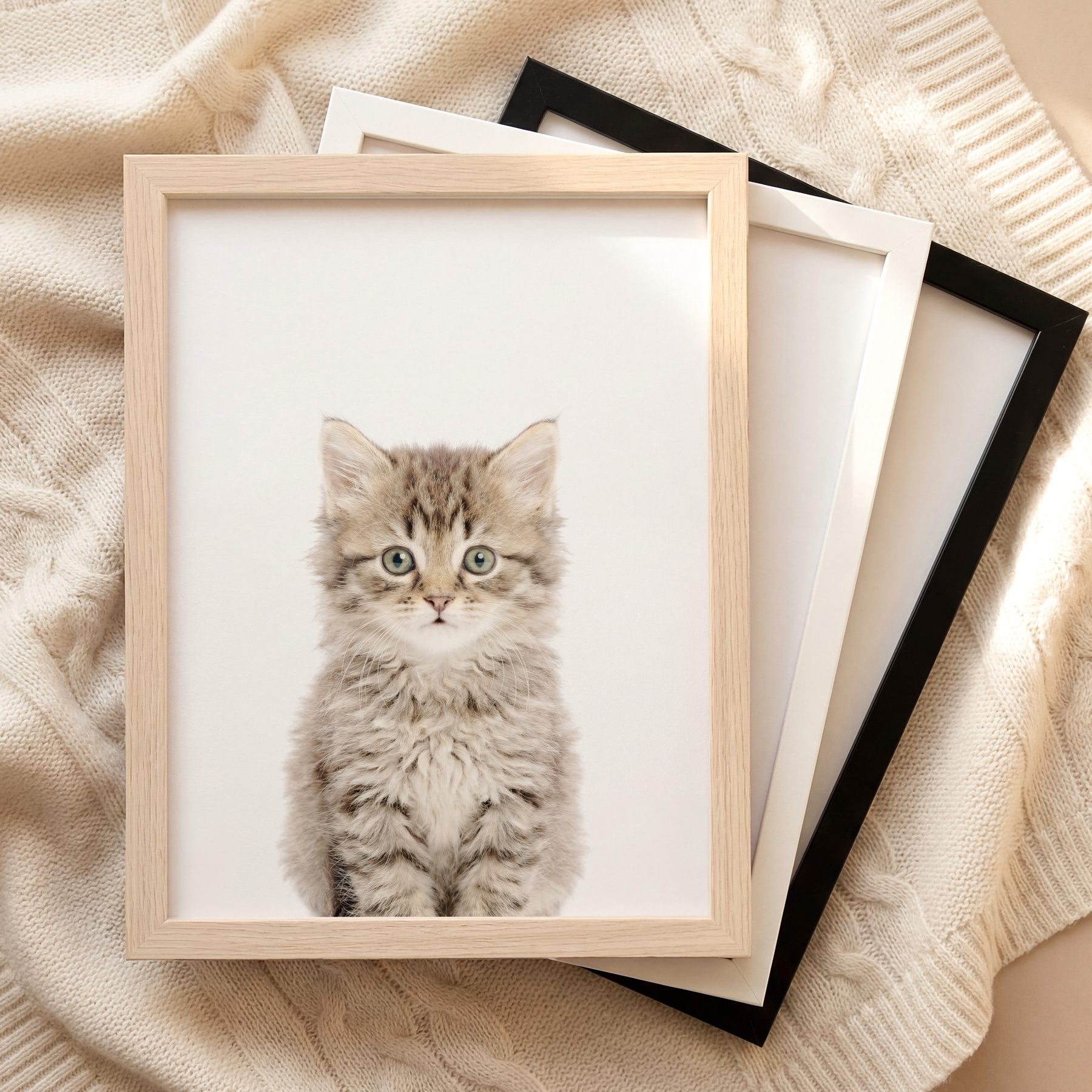 The Baby Animals 2026 Collection