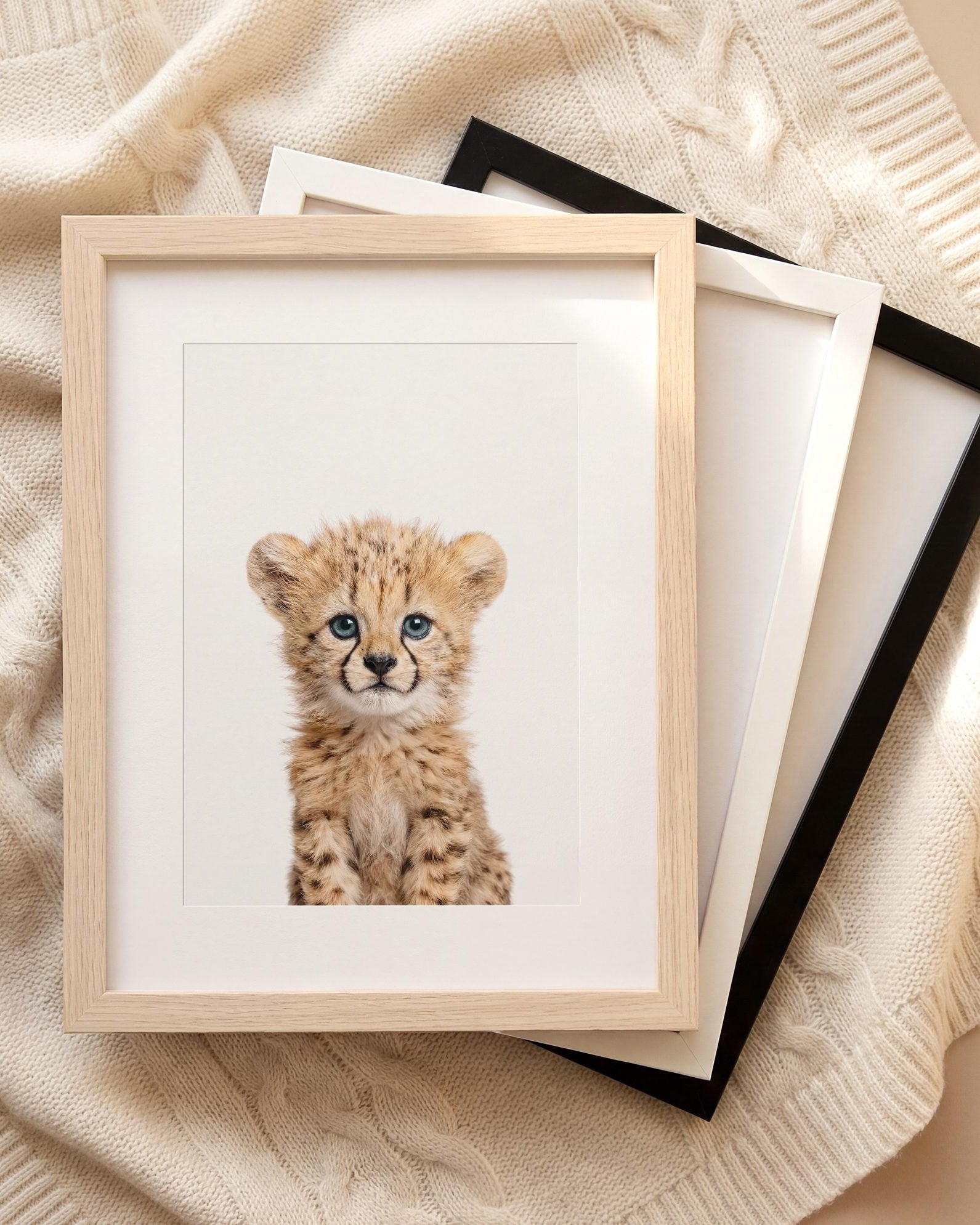 The Baby Animals 2026 Collection