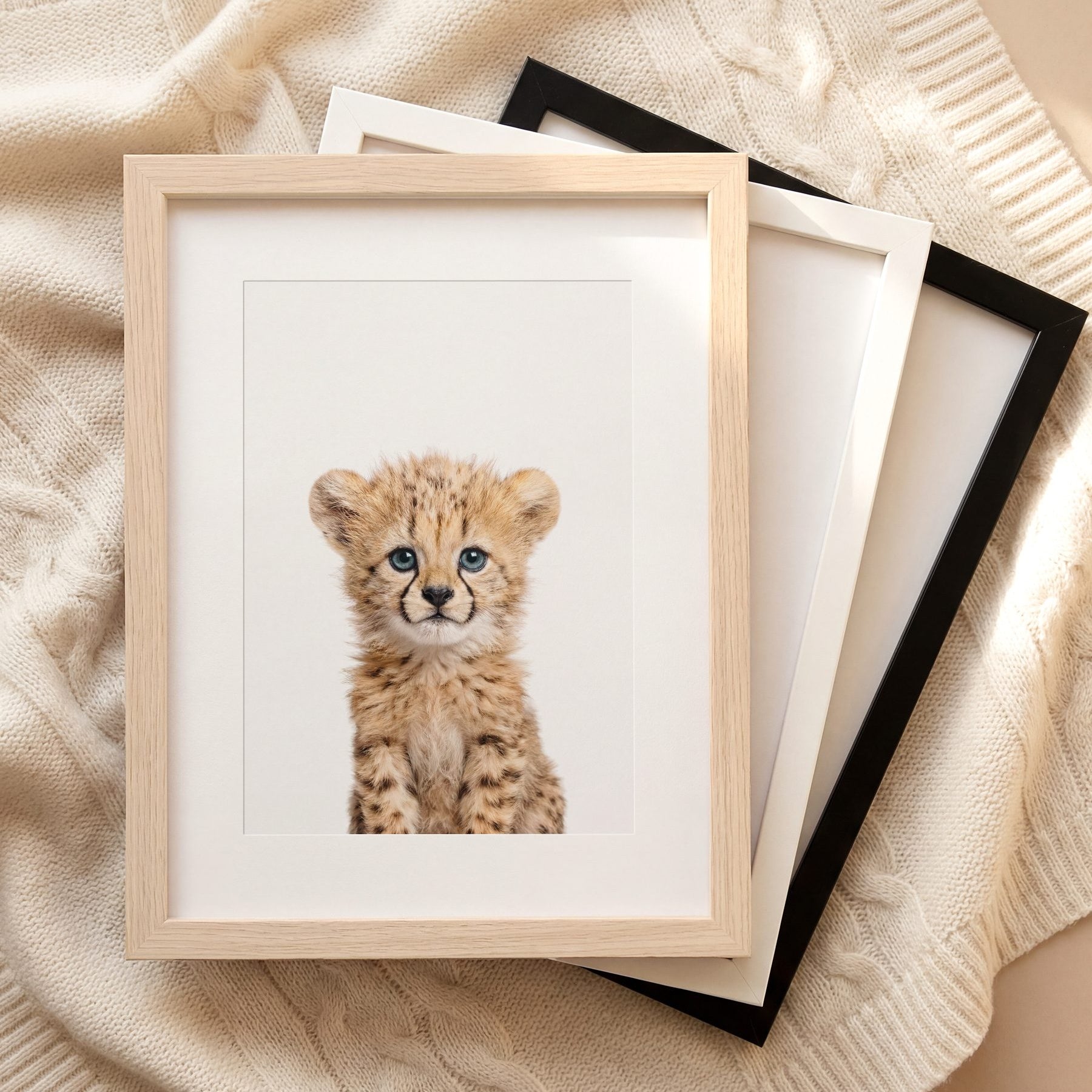 The Baby Animals 2026 Collection