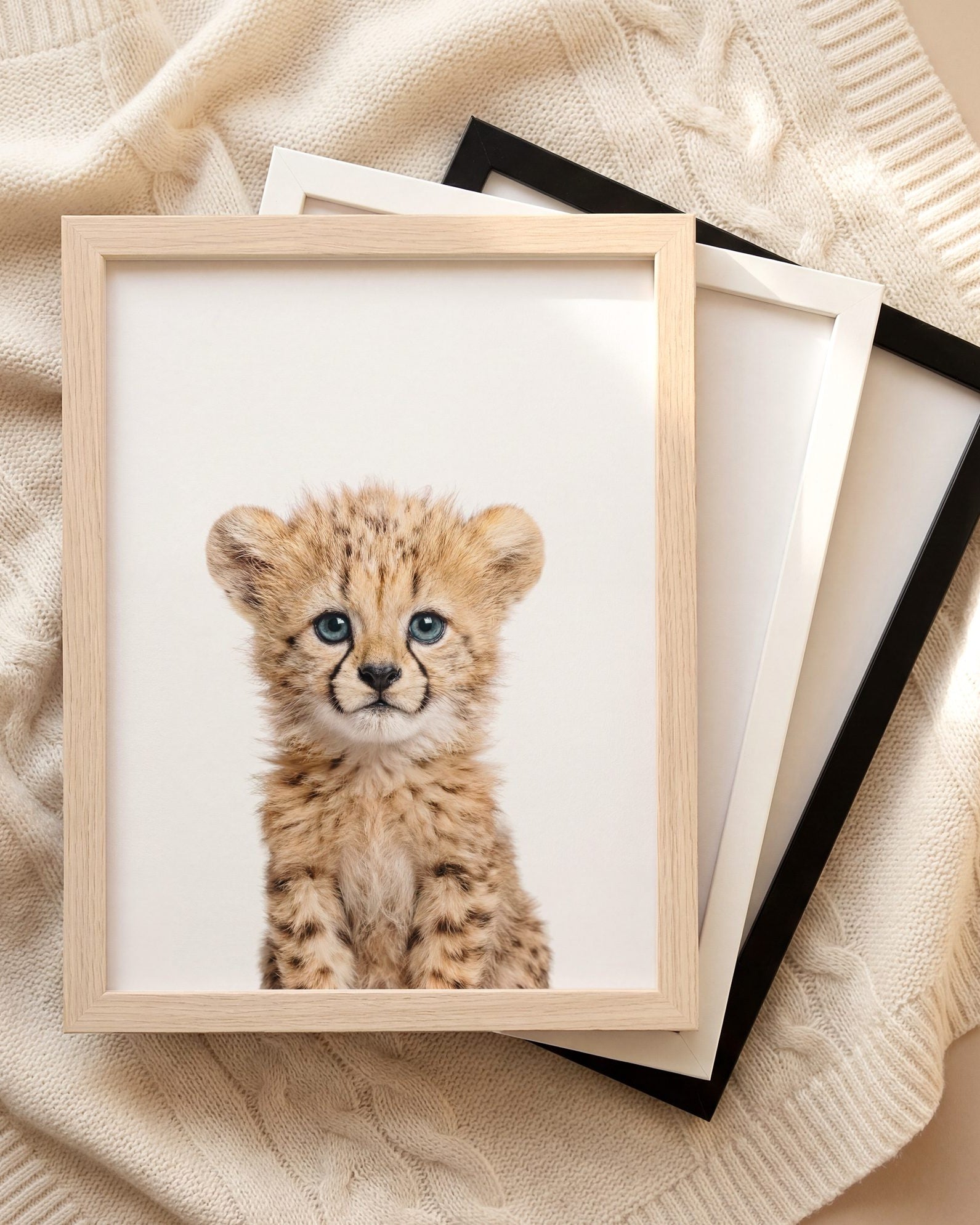 The Baby Animals 2026 Collection