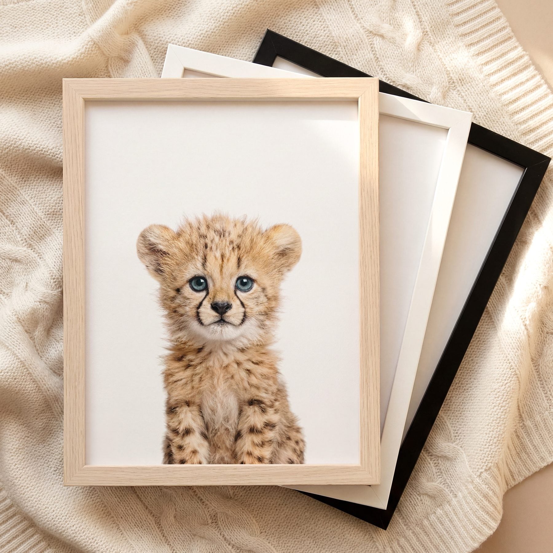 The Baby Animals 2026 Collection