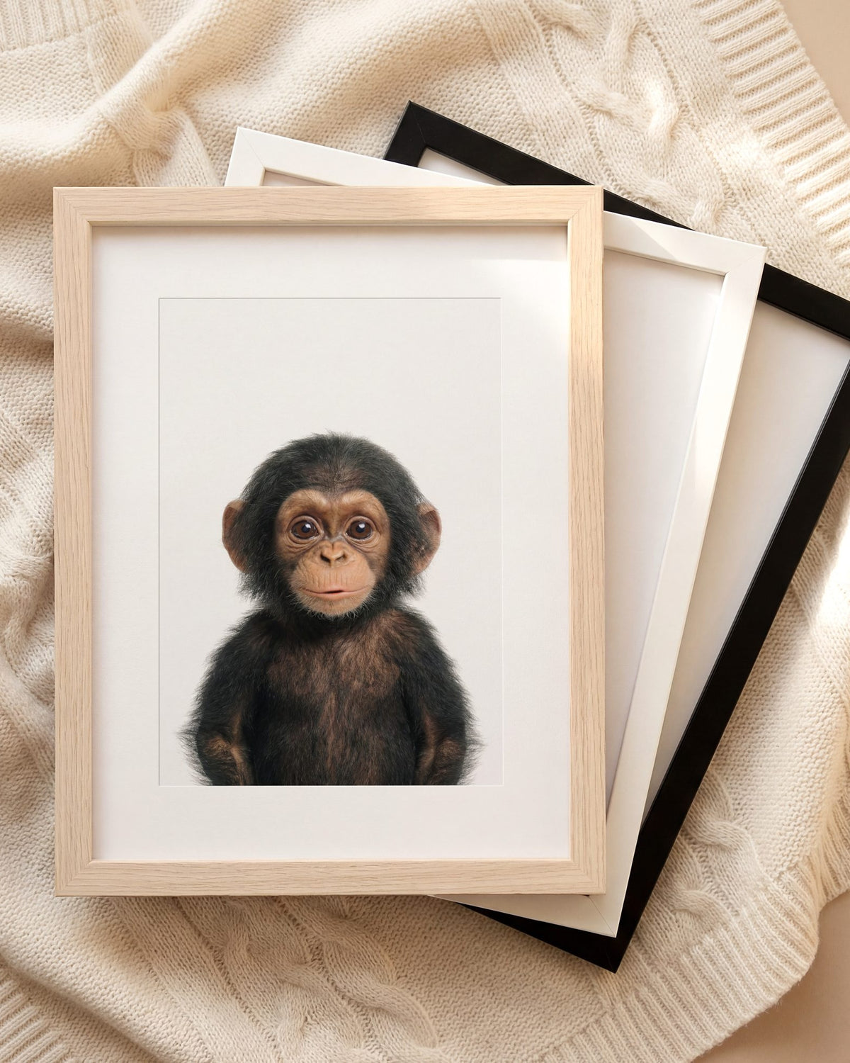 The Baby Animals 2026 Collection