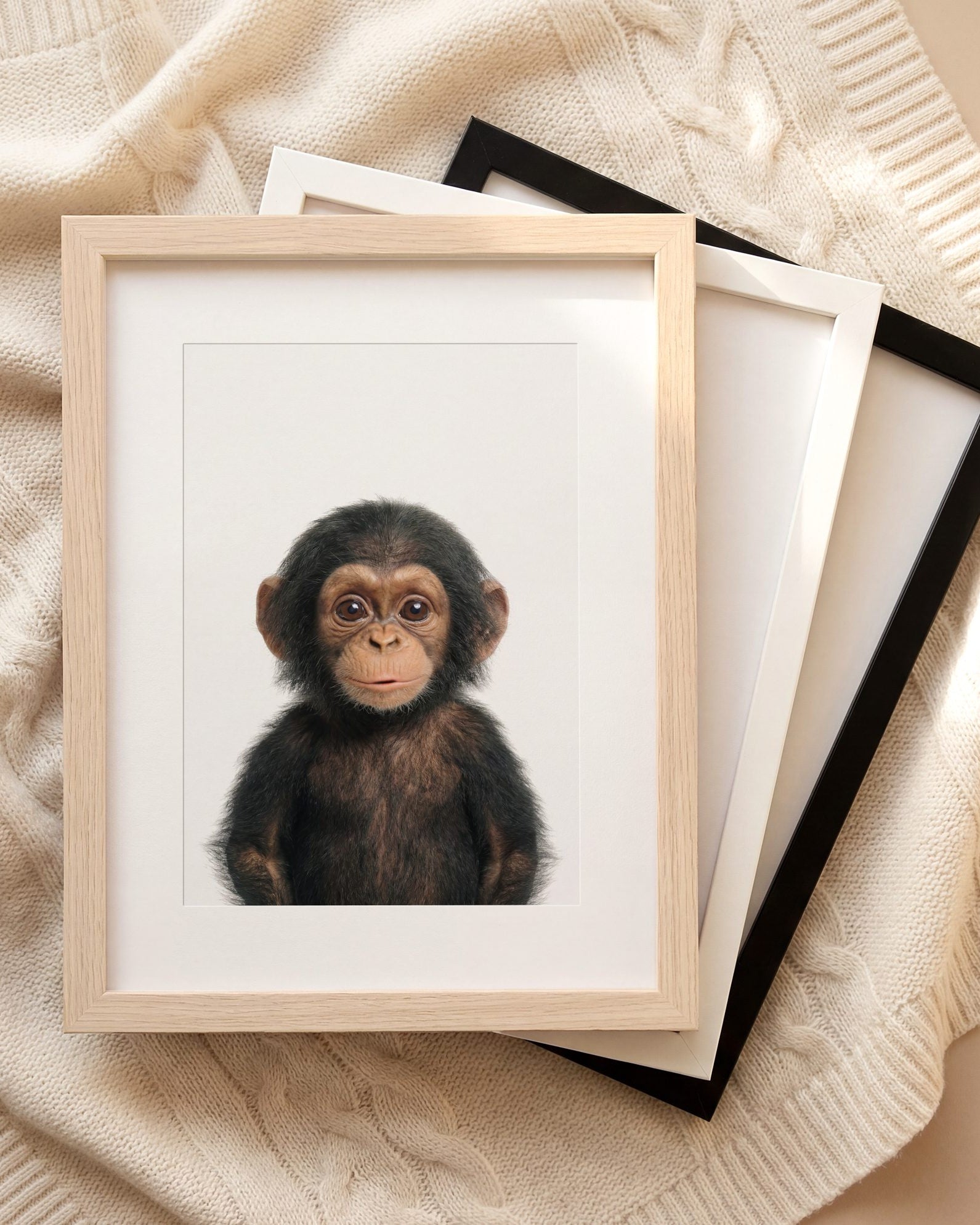 The Baby Animals 2026 Collection