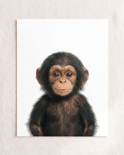 The Baby Animals 2026 Collection