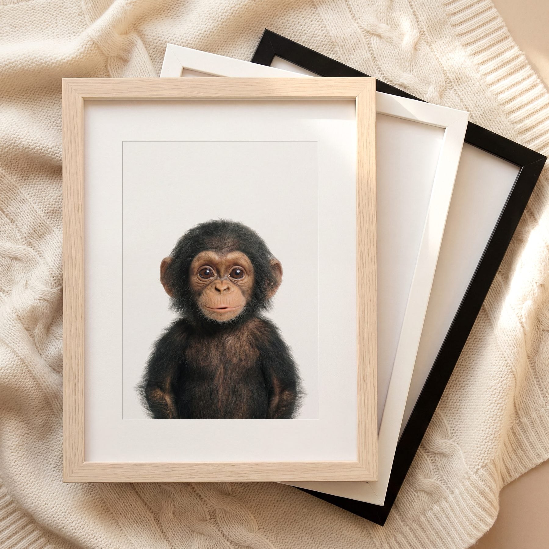 The Baby Animals 2026 Collection