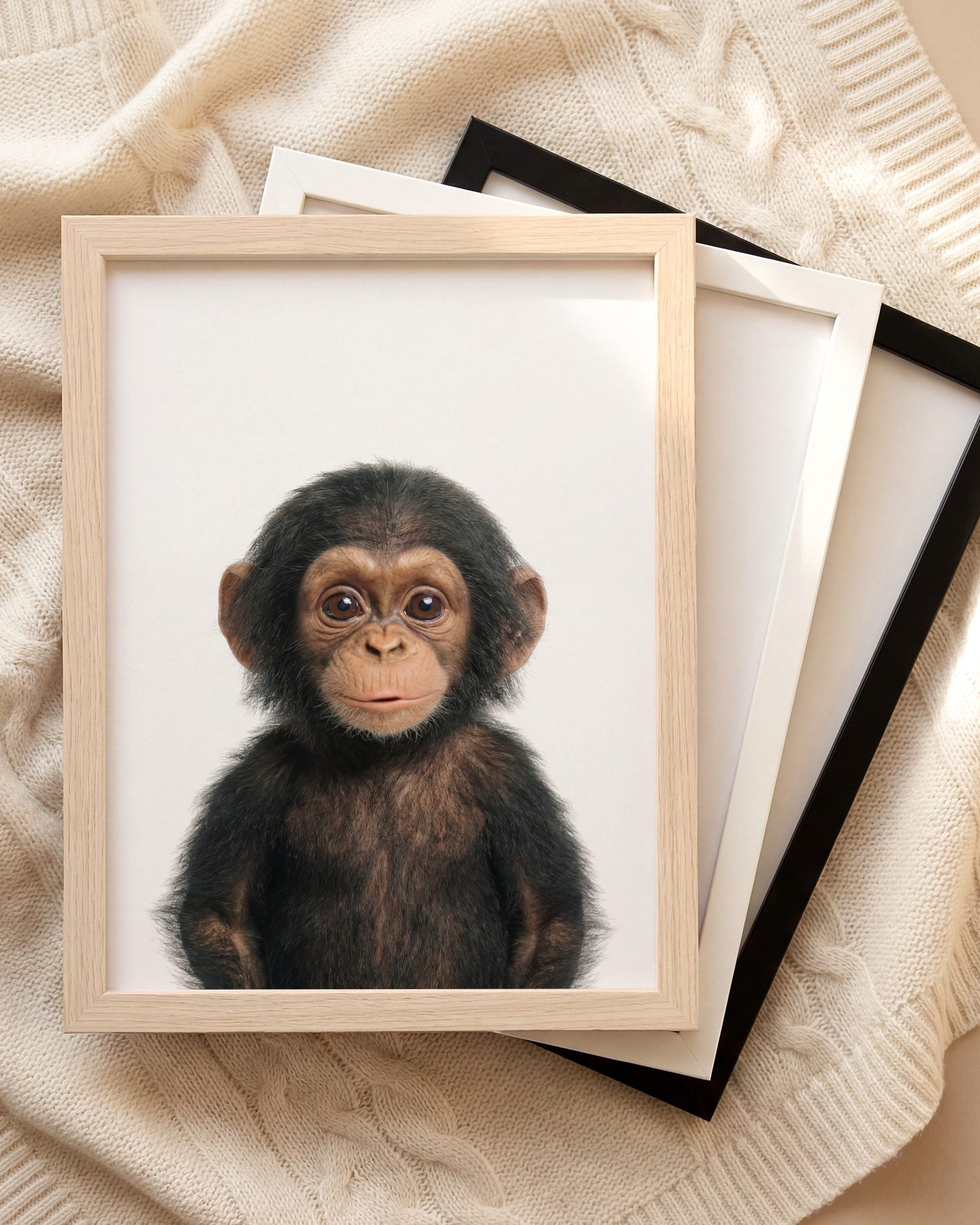 The Baby Animals 2026 Collection