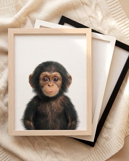 The Baby Animals 2026 Collection