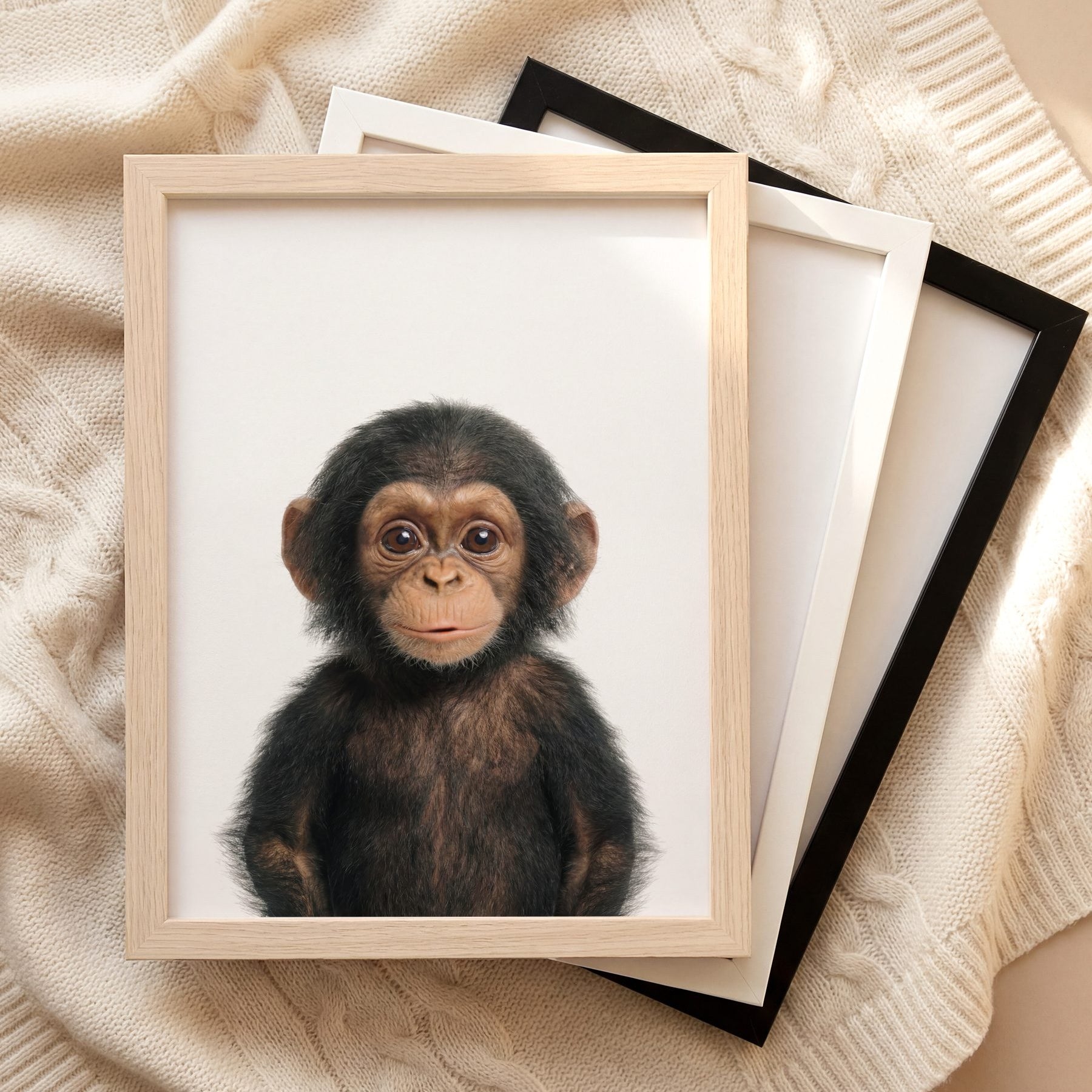 The Baby Animals 2026 Collection