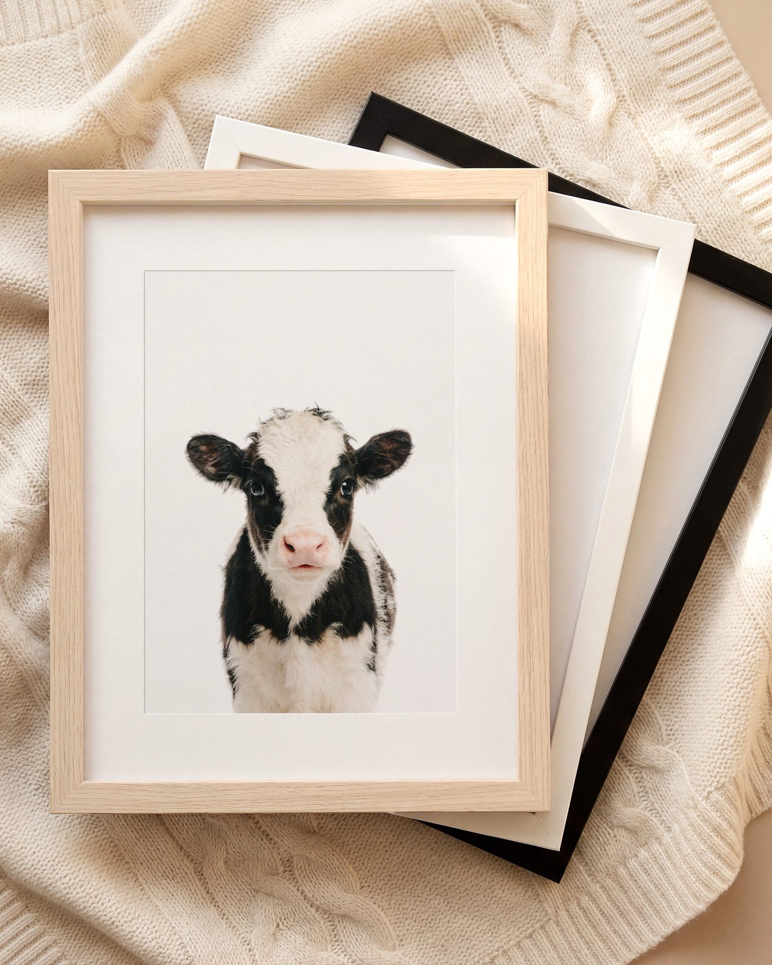 The Baby Animals 2026 Collection