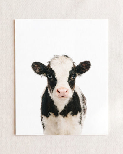 The Baby Animals 2026 Collection