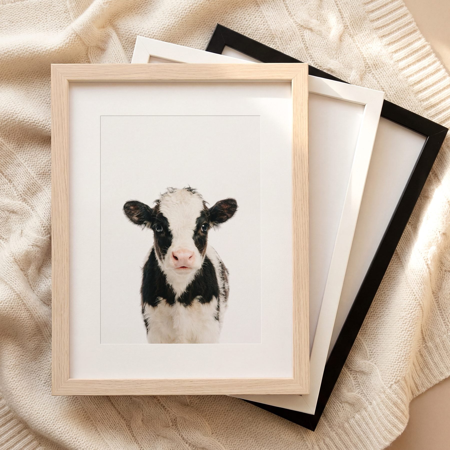 The Baby Animals 2026 Collection